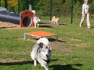 Le nouveau Parc canin