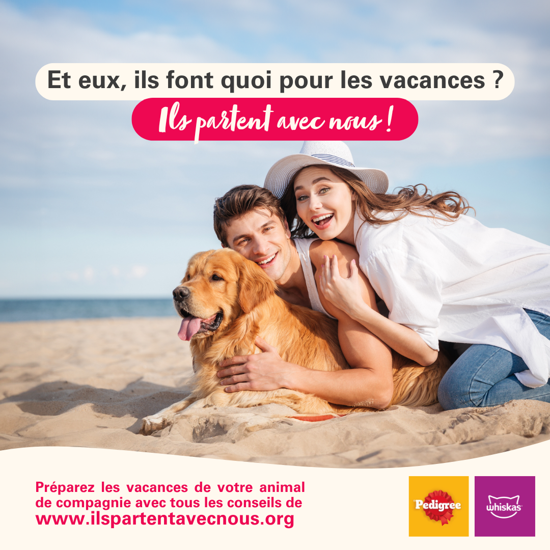 Partir en vacances avec mon animal, c’est possible !