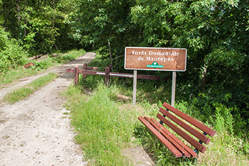 Forêt de Maurepas