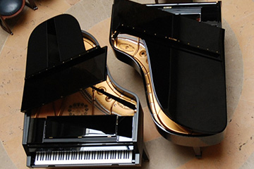 2 PIANOS SINON RIEN !