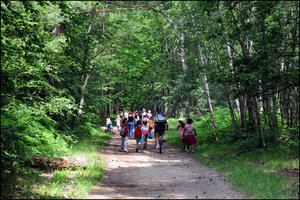 La forêt de domaniale